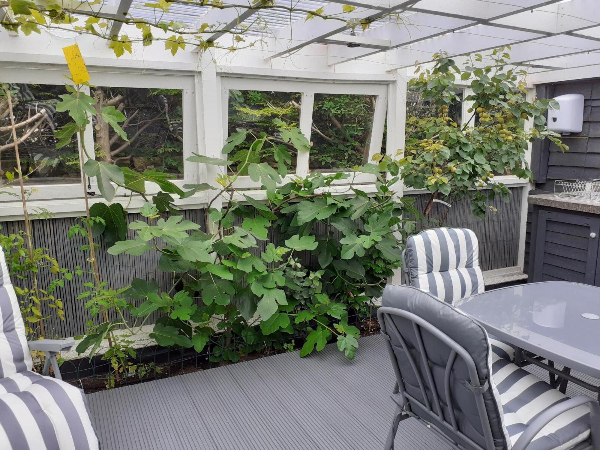 The Treehouse By Airlie Apartment Nairn Exterior photo