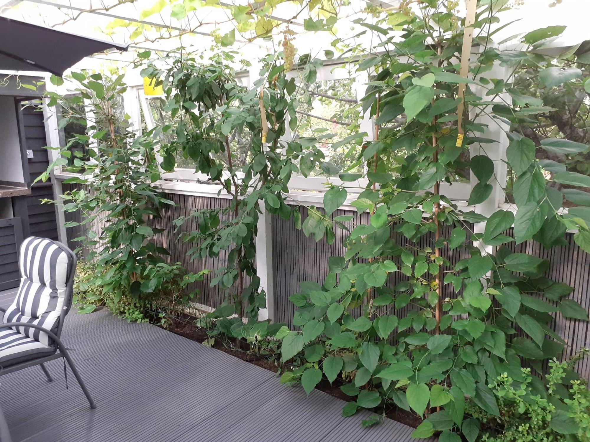The Treehouse By Airlie Apartment Nairn Exterior photo